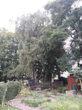 Var-skoltradgard.jpg